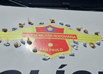 Traficante é preso em Assis após ser flagrado desenterrando drogas na mata