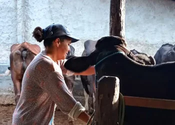 Mulheres rurais enfrentam informalidade e desigualdade no campo