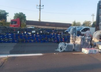 PM Rodoviária apreende mais de 4 toneladas de maconha no Interior de São Paulo