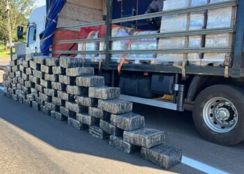 Polícia de São Paulo encontra mais de 1,5 tonelada de maconha em Presidente Prudente