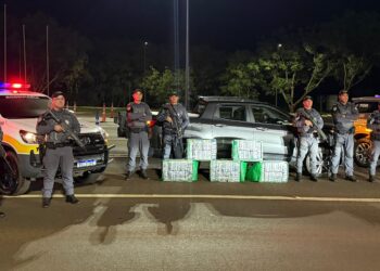 Mais de 265 kg de pasta base de cocaína são apreendidos pela Polícia Rodoviária em Palmital