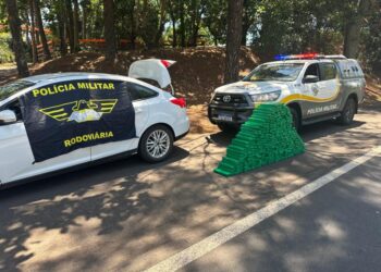 Motorista é preso com mais de 260 kg de maconha em ação da PM Rodoviária em Pirapozinho