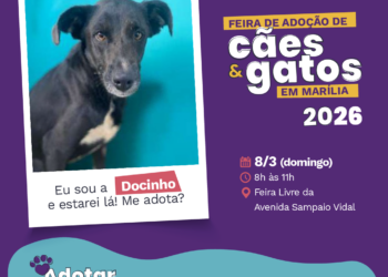 Entrevias realiza mais uma edição da adoção de pets na feira de domingo da avenida Sampaio Vidal