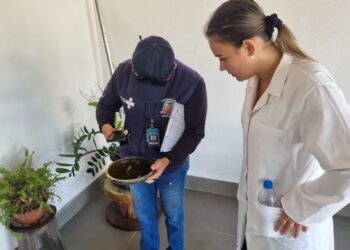 Marília elimina focos de dengue em ação na zona Norte