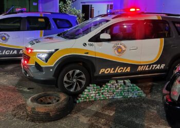 Polícia Rodoviária apreende mais de 20 kg de maconha escondidos em estepe na SP-457