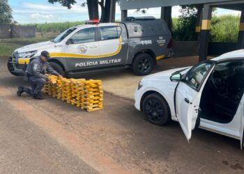 TOR prende casal com quase 140 kg de maconha em rodovia de Santa Cruz do Rio Pardo