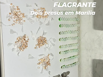 Polícia Militar prende dois homens e apreende entorpecentes no Argollo Ferrão