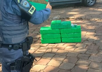 Apreensão de 100 kg de maconha gera prejuízo de quase R$ 1 milhão ao tráfico