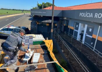 Polícia Rodoviária apreende quase 1,5 tonelada de maconha oculta em caminhão na SP-225