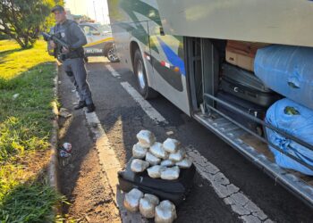 Polícia Rodoviária prende três passageiros com quase 600 quilos de drogas na SP-270