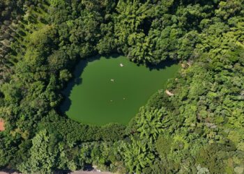 Marília tem programação especial no Mês do Meio Ambiente com foco em sustentabilidade e inclusão