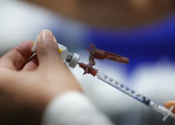 Vacinas contra a dengue vão ficar guardadas, por enquanto