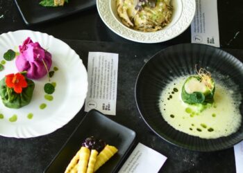 VIII Concurso de Gastronomia PANC destaca turismo, inovação e sabores da biodiversidade regional
