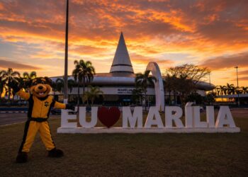 Muito além dos mascotes: inclusão, amizade e conexões que transformam vidas