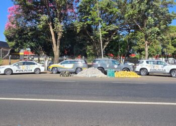 Polícia Rodoviária apreende meia tonelada de drogas escondida em caminhão frigorífico. Prejuízo ao crime é de R$ 10 milhões