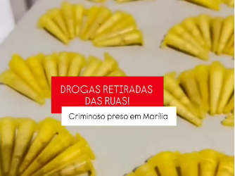 Polícia Militar prende dupla e recupera produtos furtados de atacadista em Marília