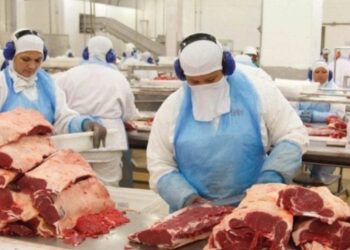 Entenda a nova taxa da China sobre a carne brasileira 