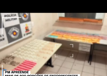 Polícia Militar apreende 844 porções de drogas e prende homem por tráfico em Marília 