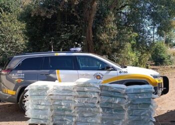 Polícia Rodoviária apreende 42 kg de cocaína em Palmital 