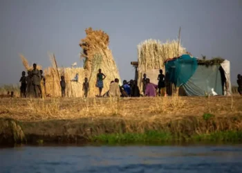 Fome mundial atinge 645 milhões de pessoas, afirma relatório da ONU