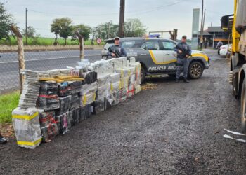 Tático Ostensivo Rodoviário apreende mais de 1,1 tonelada de drogas em Ourinhos