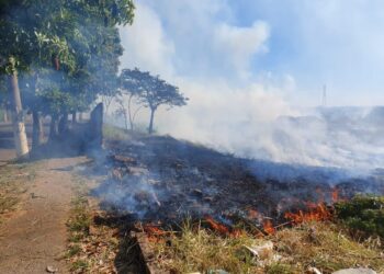 Região de Marília: alerta para incêndios nas rodovias