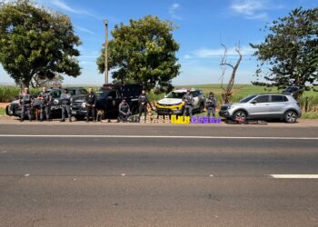 Polícia Rodoviária apreende mais de 140 quilos de maconha e prende mulher em flagrante na região de Ourinhos