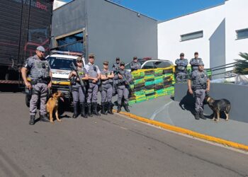 Polícia Rodoviária apreende mais de 1,3 toneladas de drogas em Piraju