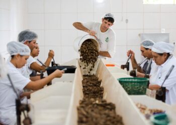 Consulta sobre bens sustentáveis no acordo Mercosul–UE acaba na quarta