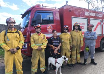 Bombeiros resgatam cão preso em paredão de 15 metros de altura em Marília