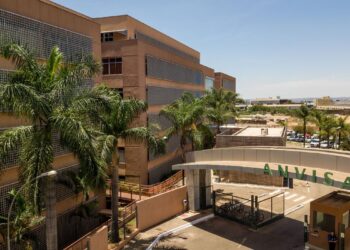 Anvisa alerta risco de deficiência de B6 com uso de carbidopa/levodopa