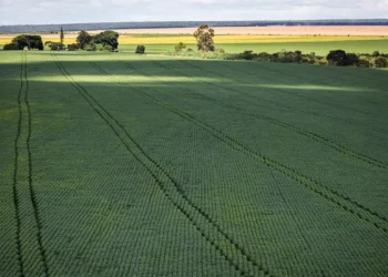 CMN amplia renegociação de dívidas rurais ligadas a eventos climáticos