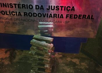 PRF apreende mais de 24 kg de maconha na BR-153 em Guaiçara/SP