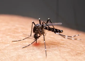 Mudanças climáticas já causam aumento de doenças infecciosas no país