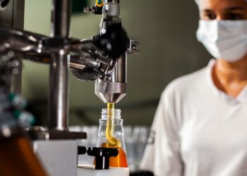 União Europeia sinaliza retomada de compras de frango e mel do Brasil