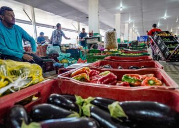 Campanha busca engajamento para reduzir desperdício de alimento