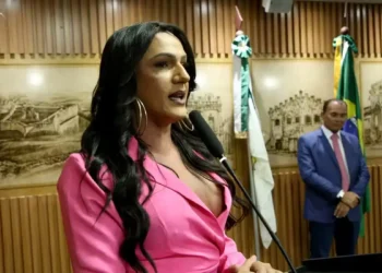 População trans amplia representação no Poder Legislativo