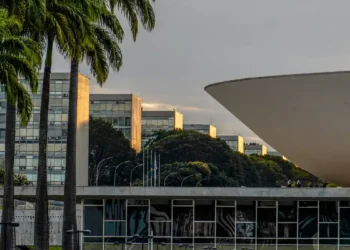 Nikolas Ferreira e Lucas Pavanato foram os deputados mais votados